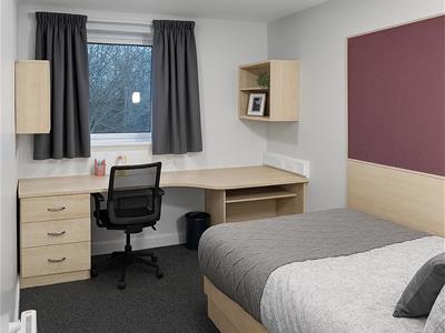 Picture 14